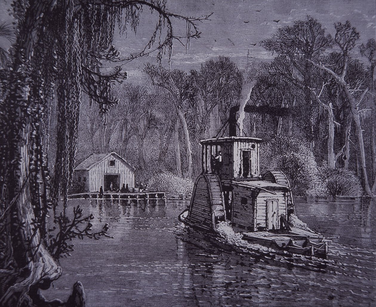 Escena de los Everglades de Florida de American School
