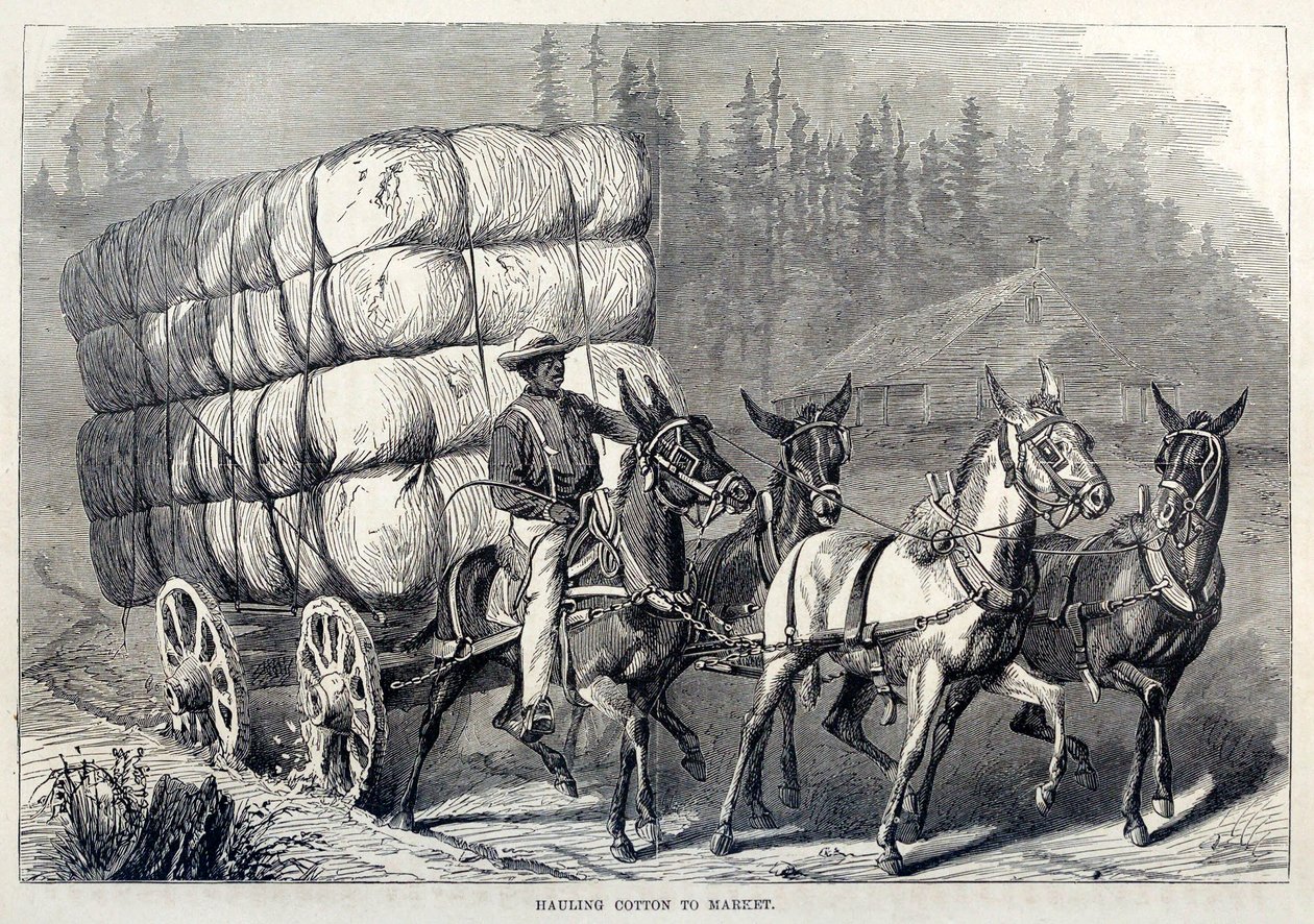 Transportando Algodón al Mercado, de Cien Años de Progreso de los Estados Unidos, pub. 1871 de American School