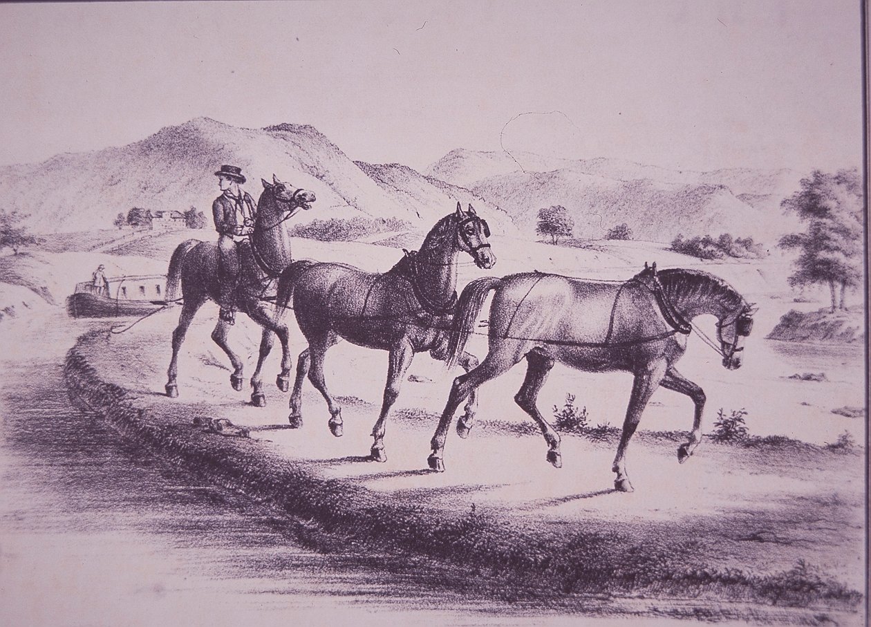 Caballos tirando de un barco de canal en el Canal Erie (grabado) de American School