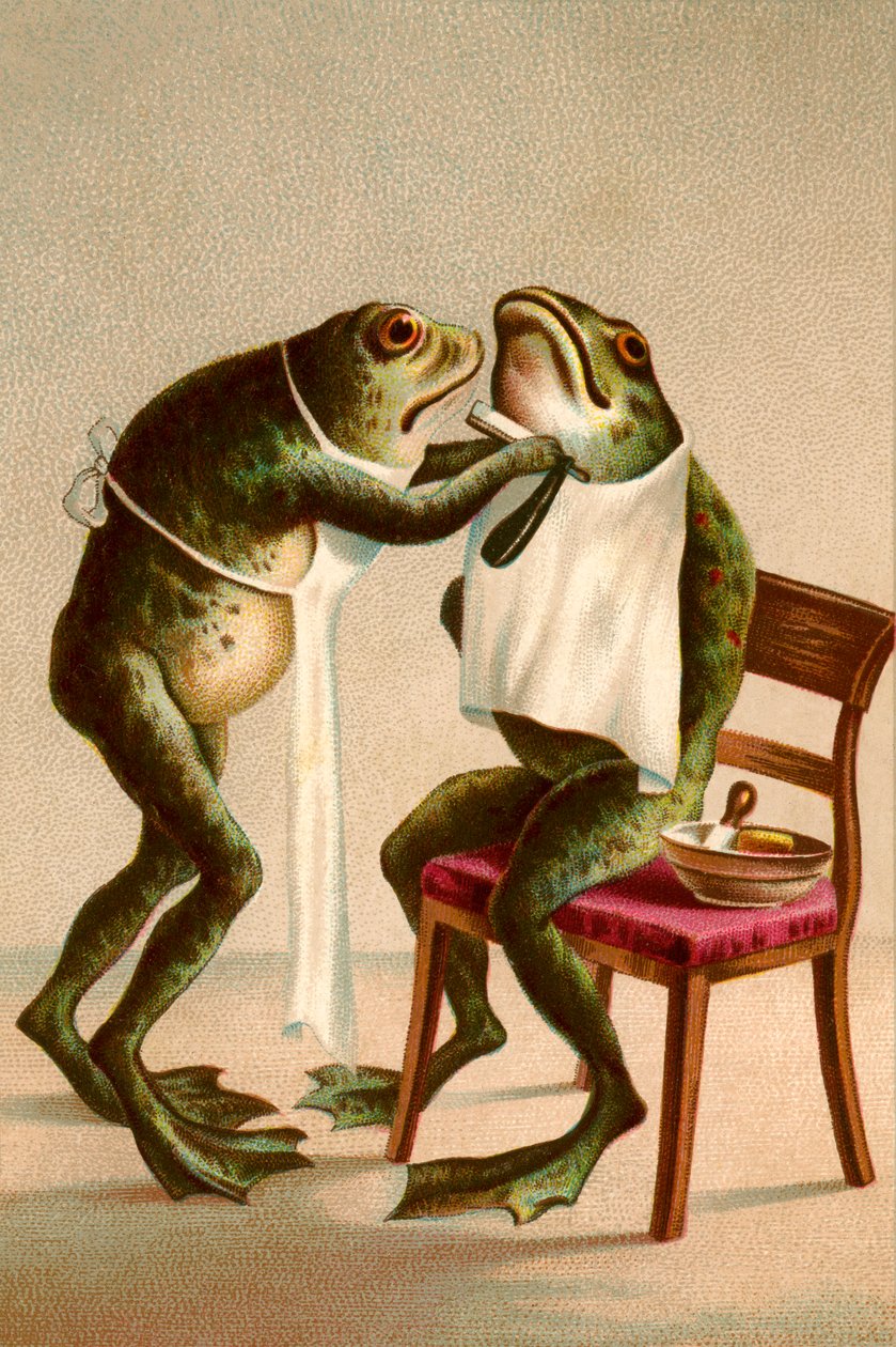 Ilustración humorística de una rana afeitándose de American School