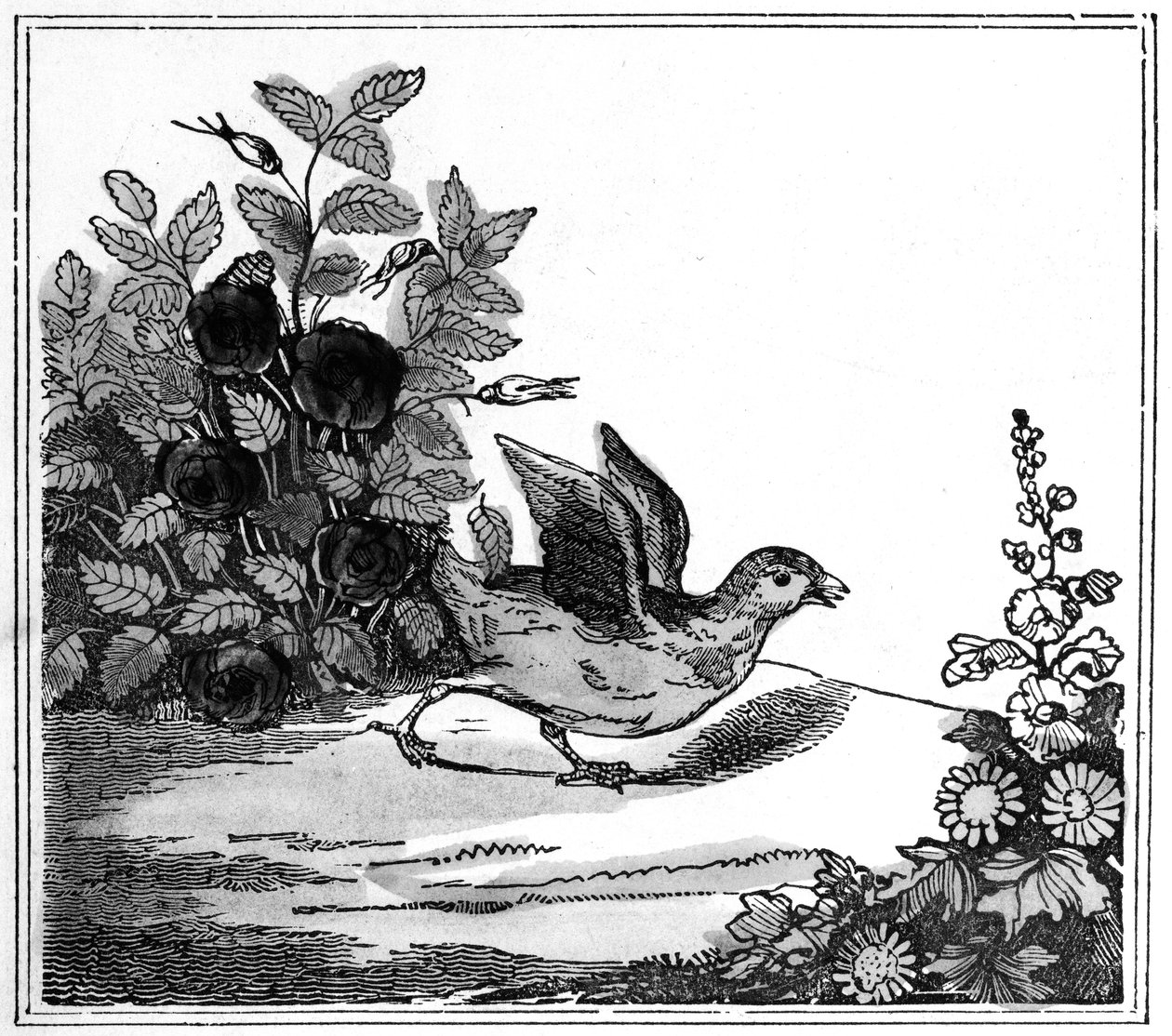 Ilustración de la Notable Historia de Chicken Little, 1840 de American School
