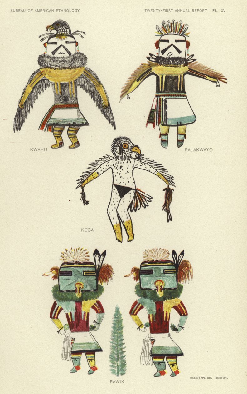 Kwahu, Palakwayo, Keca, Pawik (litografía en color) de American School