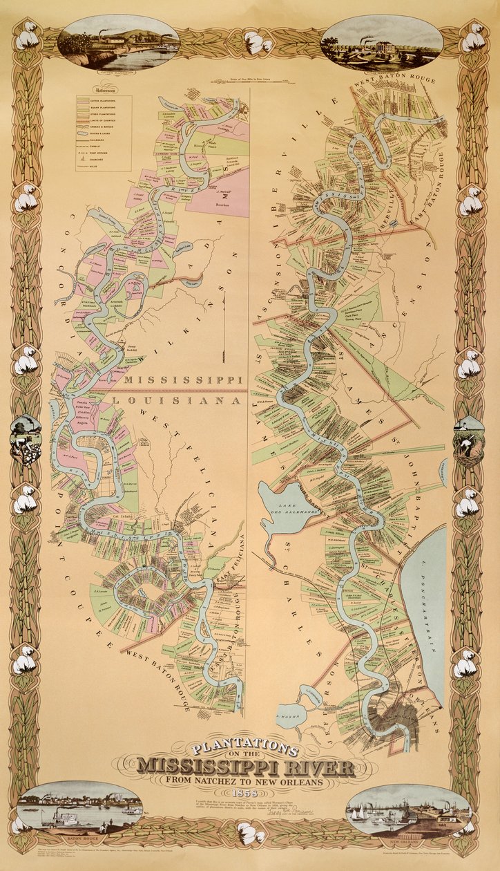 Mapa que representa las plantaciones en el río Mississippi desde Natchez hasta Nueva Orleans, 1858 de American School