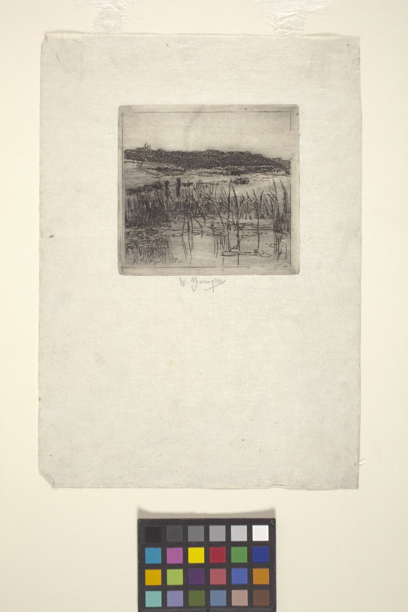 Marsh (grabado) de American School