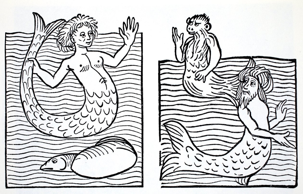 Sirenas y Tritones, de La Guía Mundial de Gnomos, Hadas, Elfos y Otros Seres Pequeños por Thomas Keightley (1789-1872) Publicado 1880, (grabado en blanco y negro) de American School