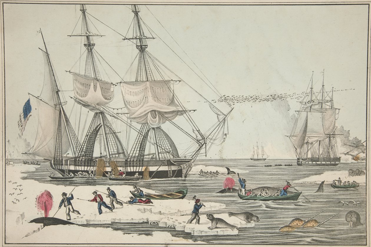 Pesca de ballenas en el Mar del Norte, pub. 1860 (litografía en color) de American School