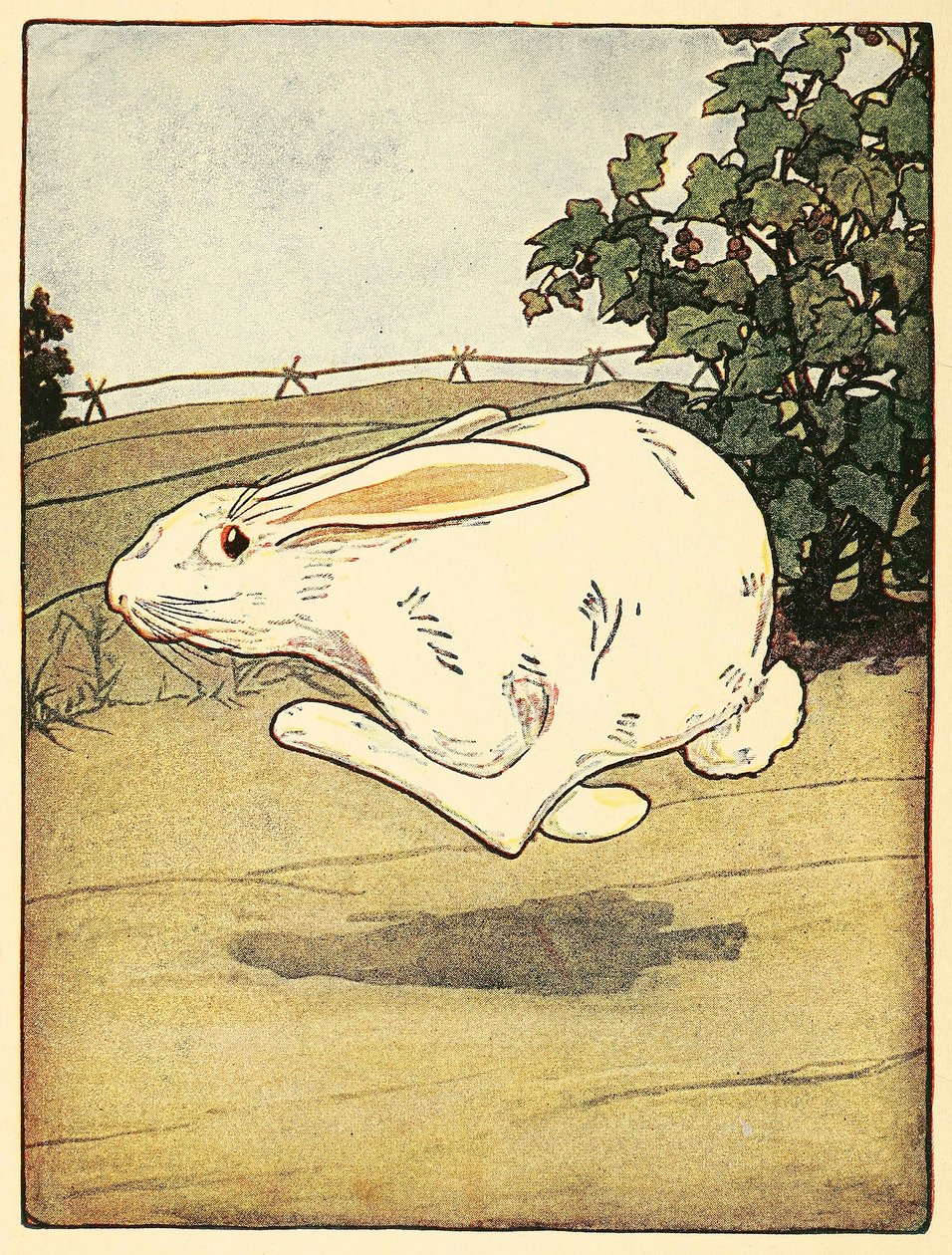 Pedro nunca dejó de correr, de El cuento de Peter Rabbit, pub. 1916 litografía en color, 1916 de American School