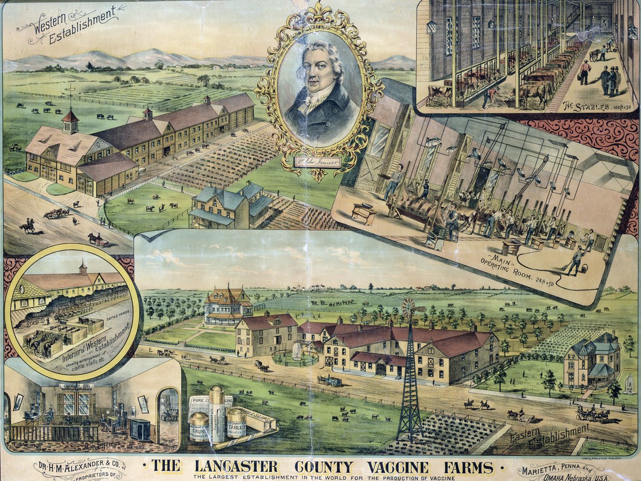 Plano de las granjas de vacunas del condado de Lancaster, Nebraska de American School