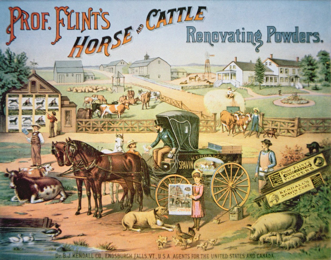Polvos renovadores para caballos y ganado del Profesor Flint, c.1900 de American School