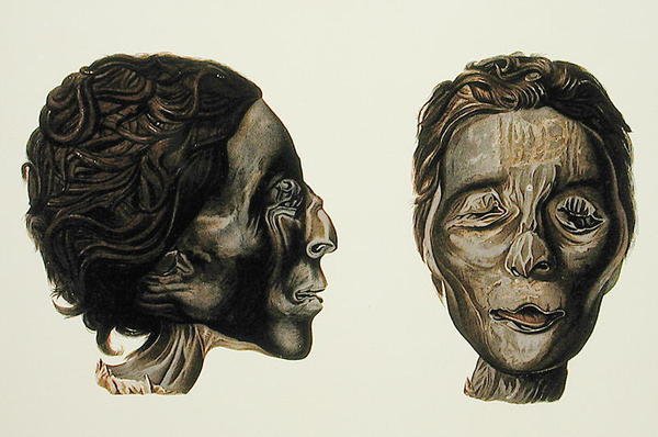 Perfil y rostro de una momia femenina de Gizeh, Volumen II, lámina XXVII de 