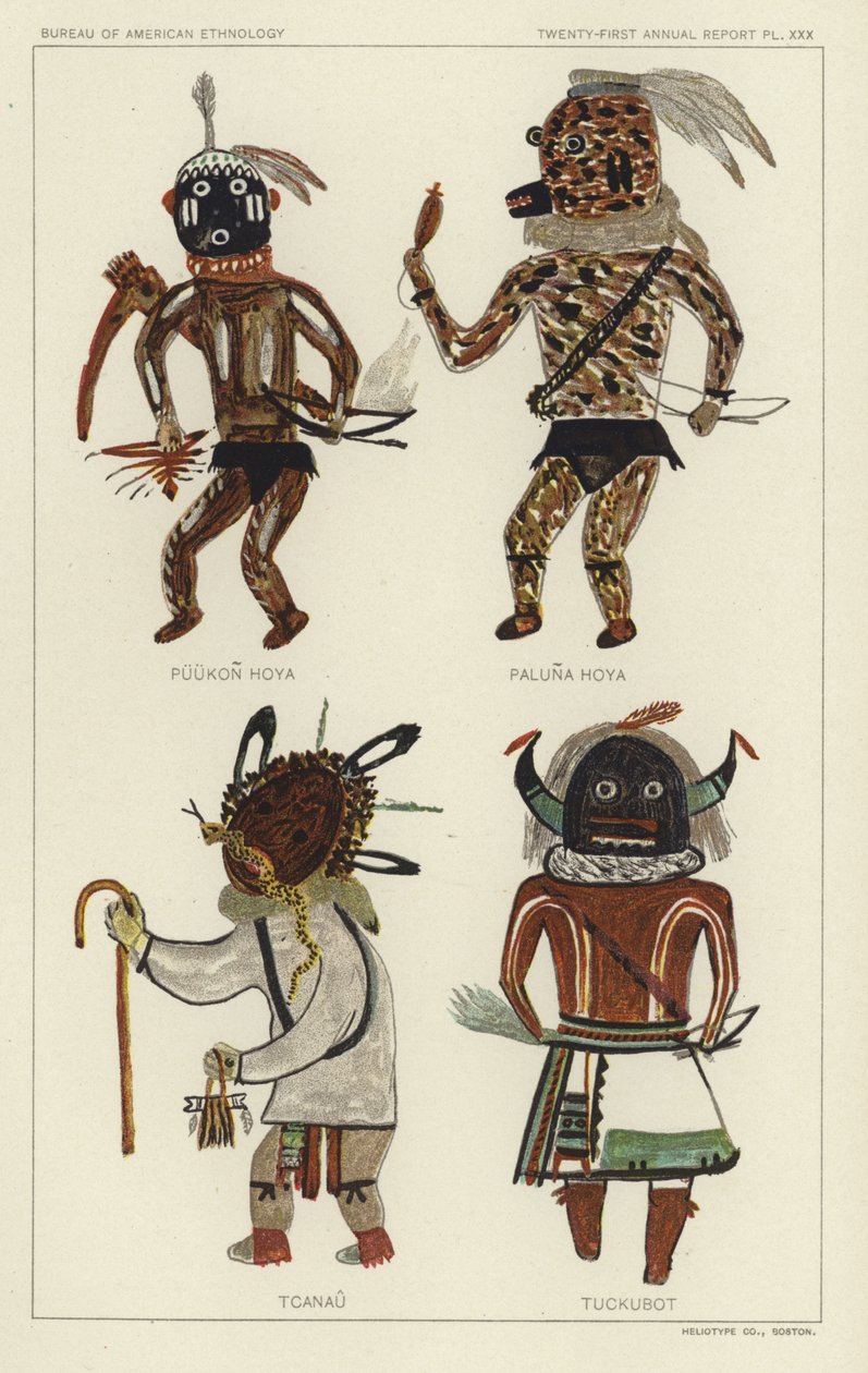 Puukon Hoya, Paluna Hoya, Tcanau, Tuckubot (litografía en color) de American School