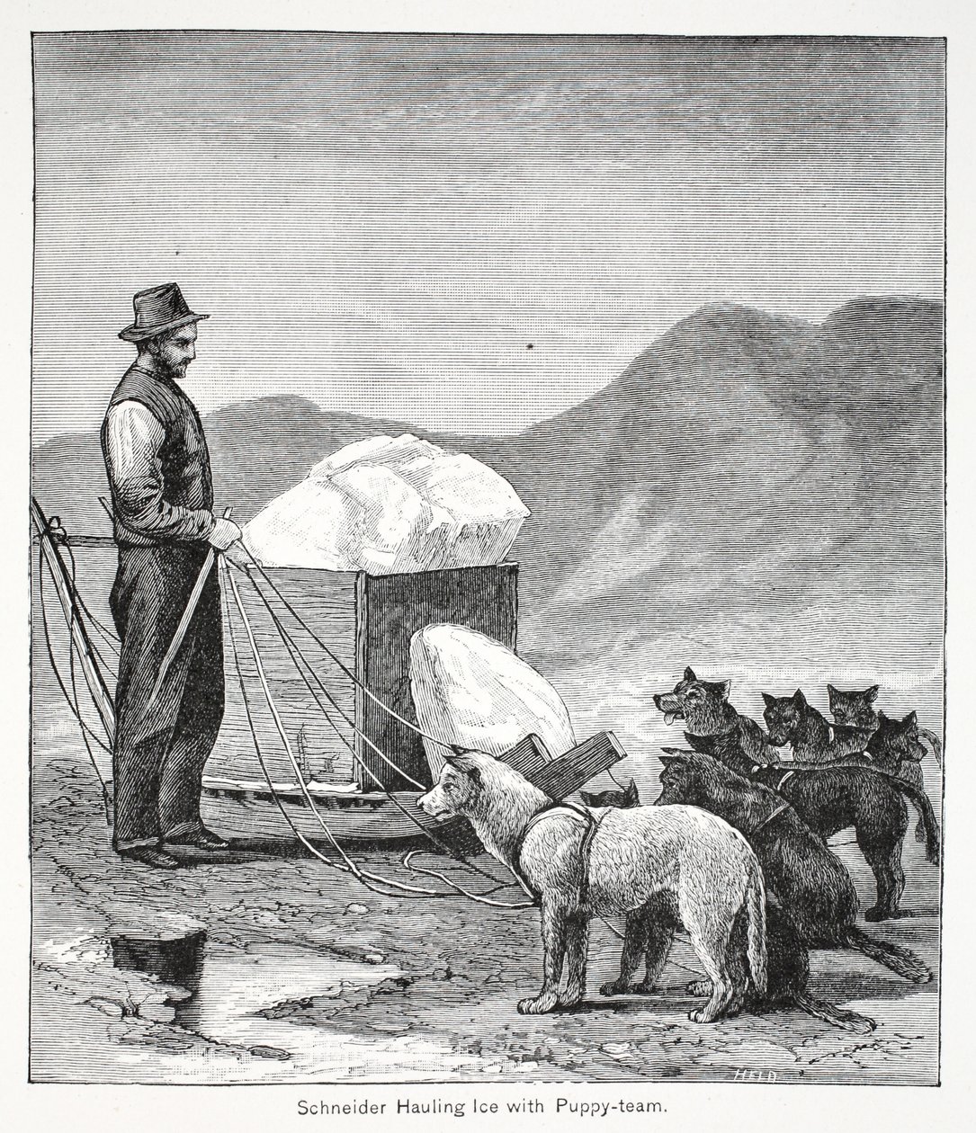 Schneider transportando hielo con el equipo de cachorros, pub. Londres 1886 de American School