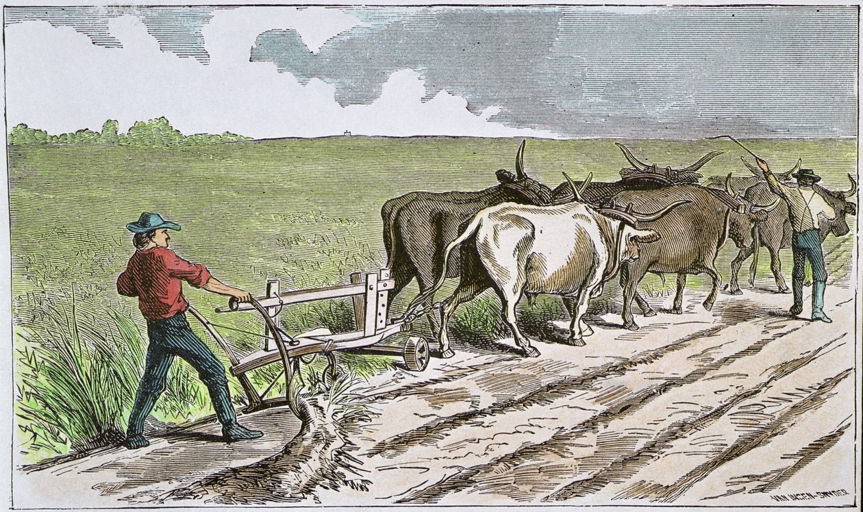 Sodbusters del Oeste Americano, c.1880 de American School