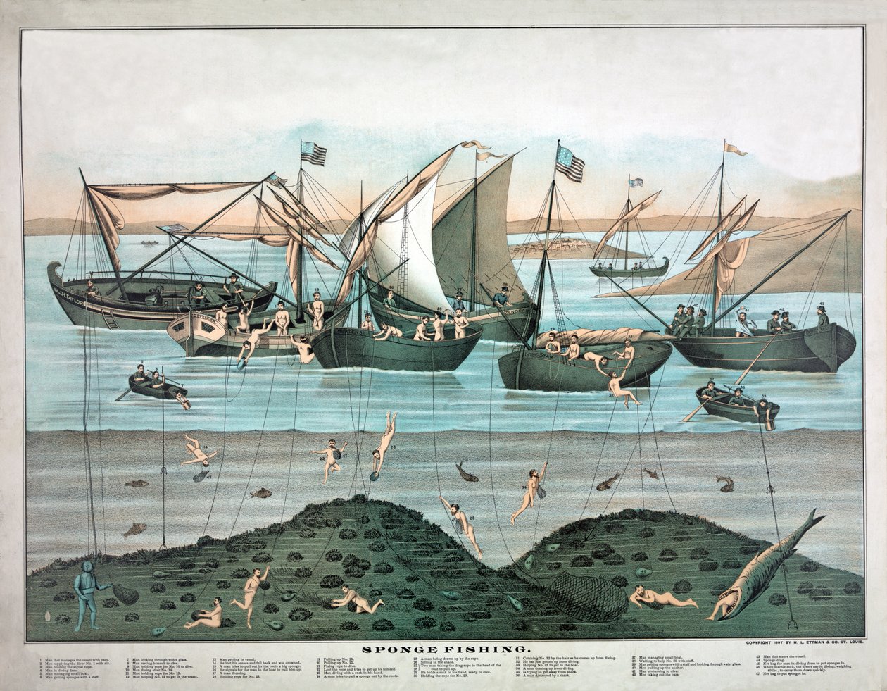 La pesca con esponja, pub. 1897 (litografía en color) de American School