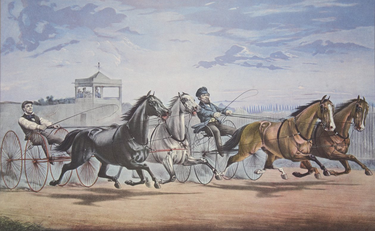 Stella y Alice Grey - Linterna y Ballena, Pasando el Stand (En su gran carrera en Doble Arnés sobre el Union Course L.I. 5 de junio de 1855) de American School