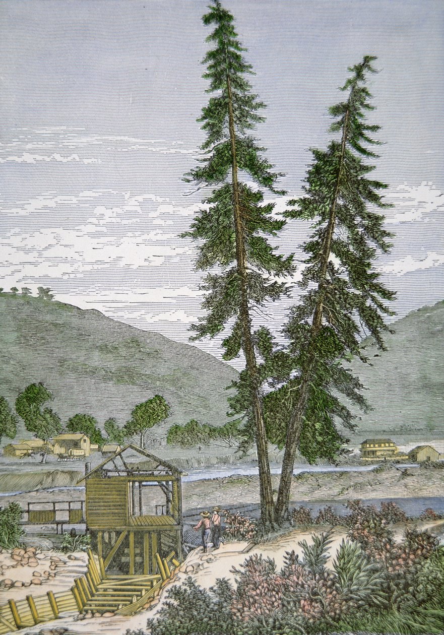 Molino de Sutter de American School
