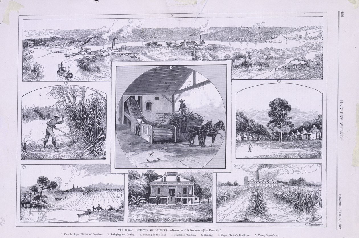 La industria azucarera de Luisiana de American School