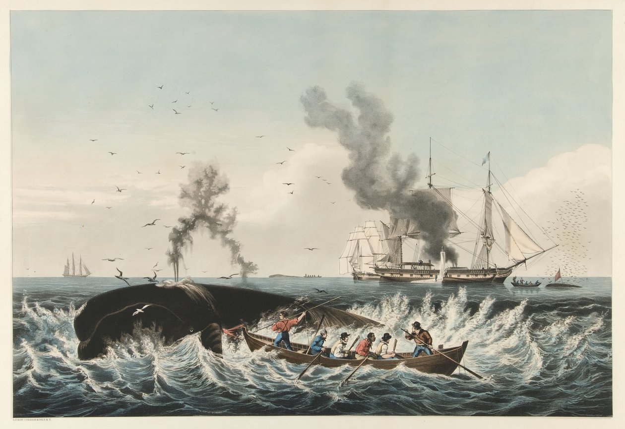 La pesca de ballenas - Atacando una ballena 