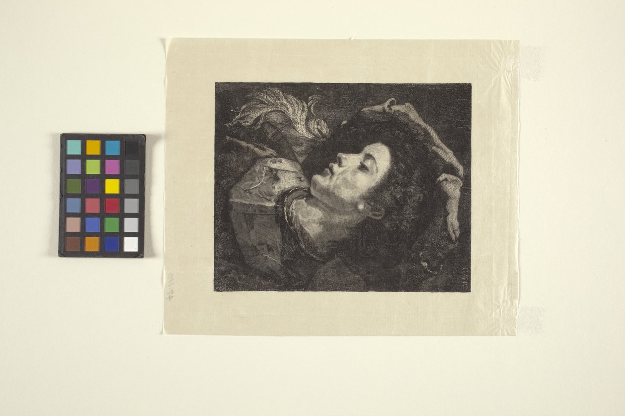 El joven terrateniente (grabado en madera) de American School