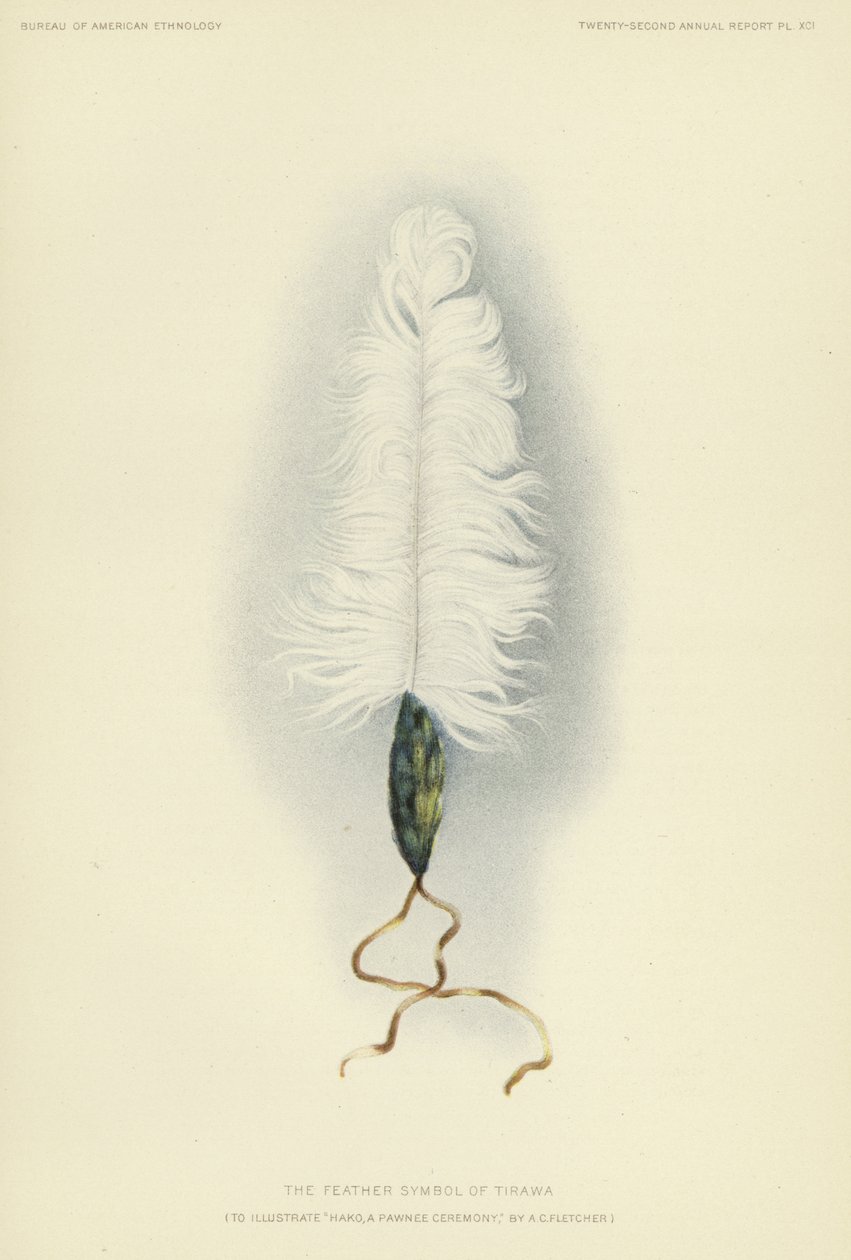 El símbolo de la pluma de Tirawa (litografía en color) de American School