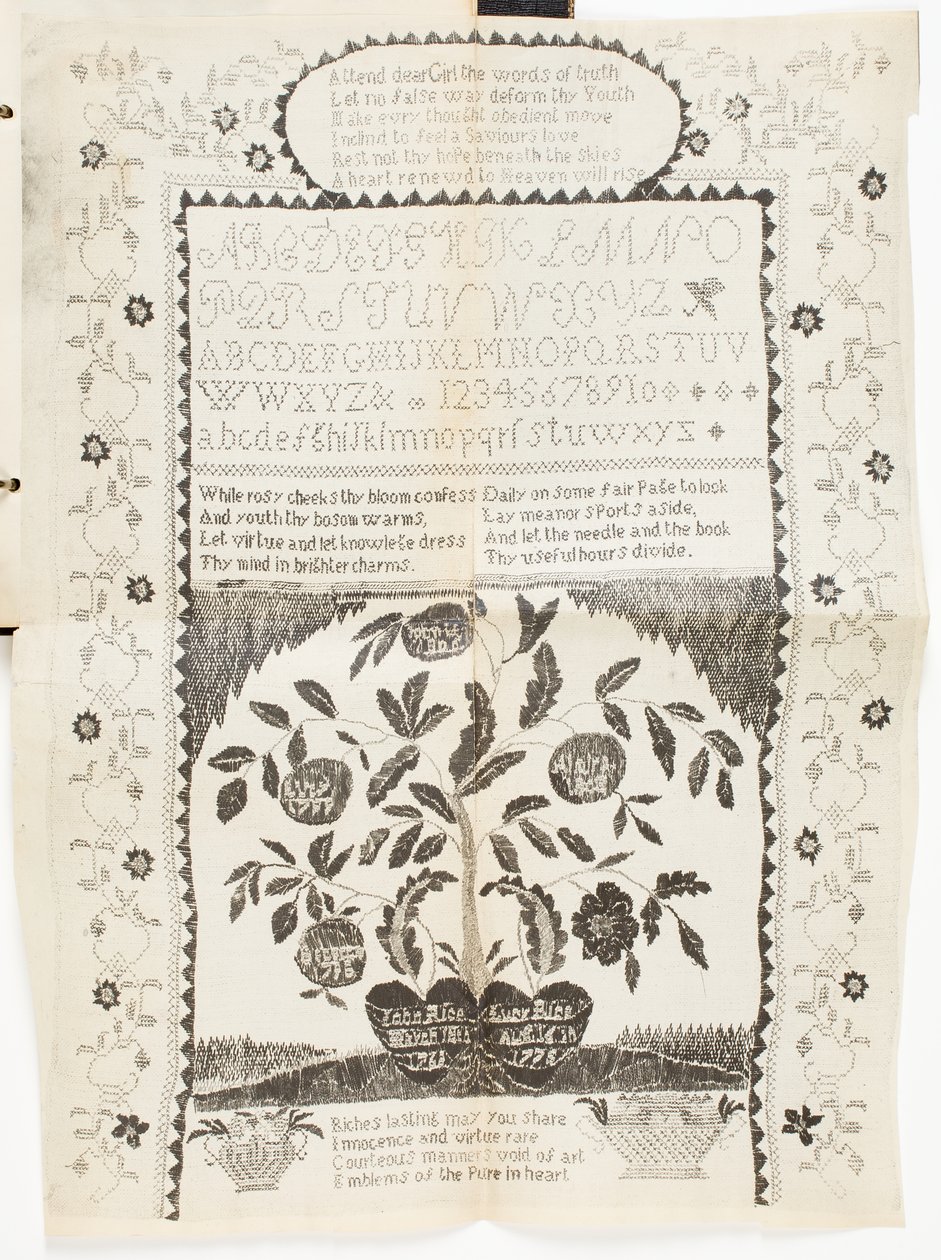 Imagen desconocida de American School