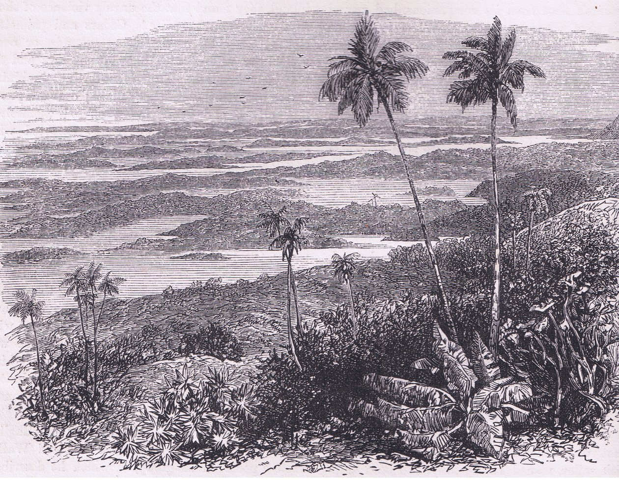Vista de las Bermudas, ilustración de Cassell