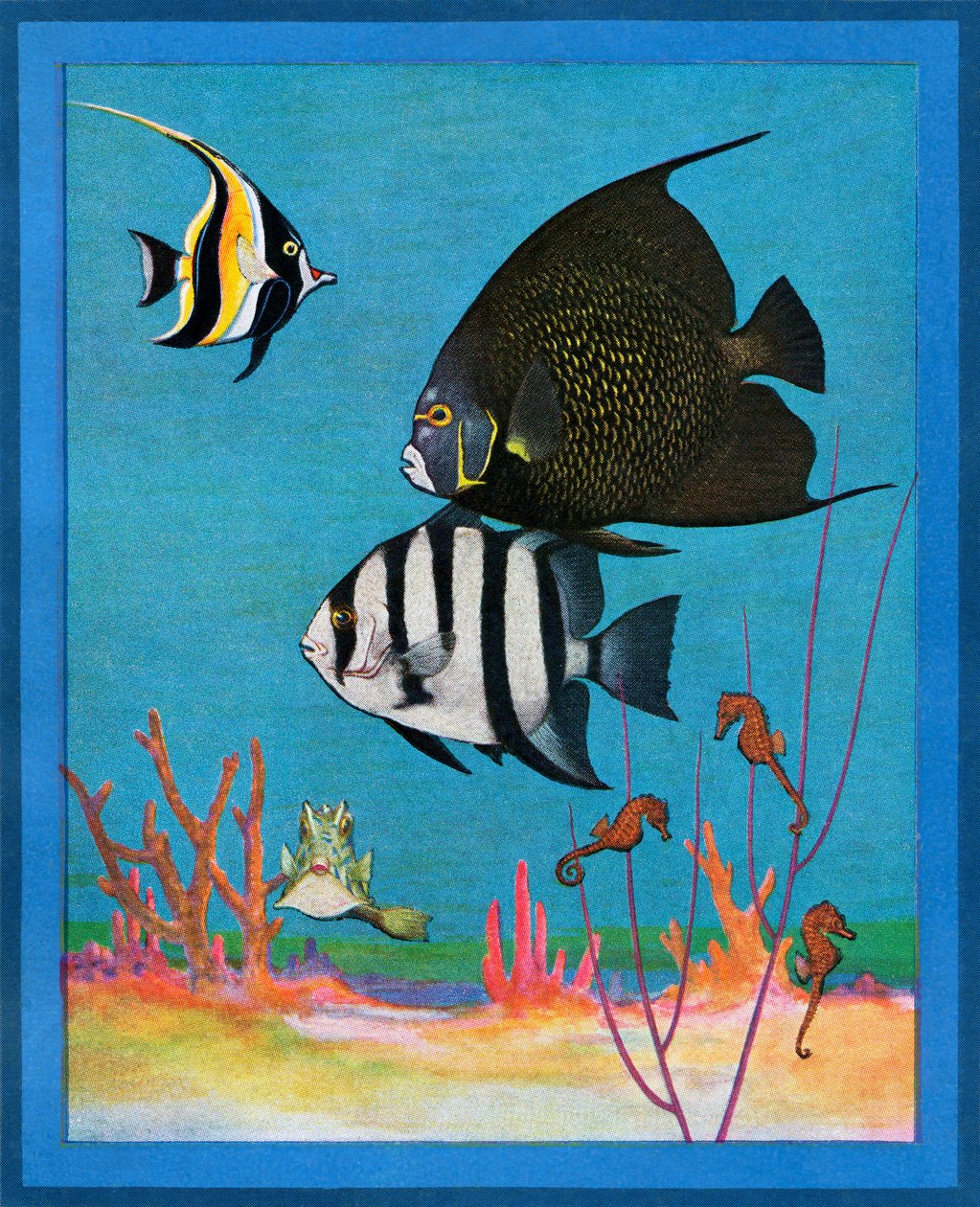 Impresión vintage de un acuario de agua salada con peces tropicales de American School