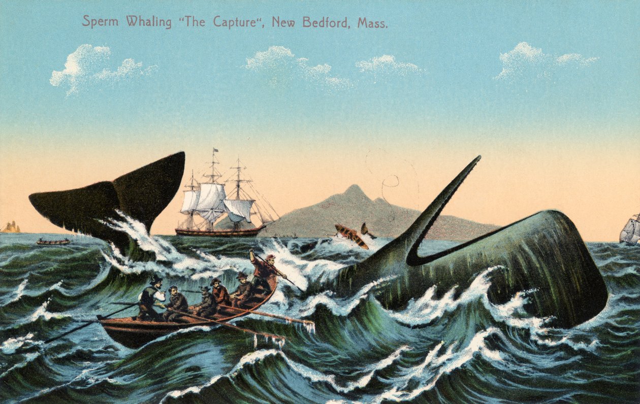 Balleneros arponeando un cachalote frente a New Bedford, Massachusetts de American School