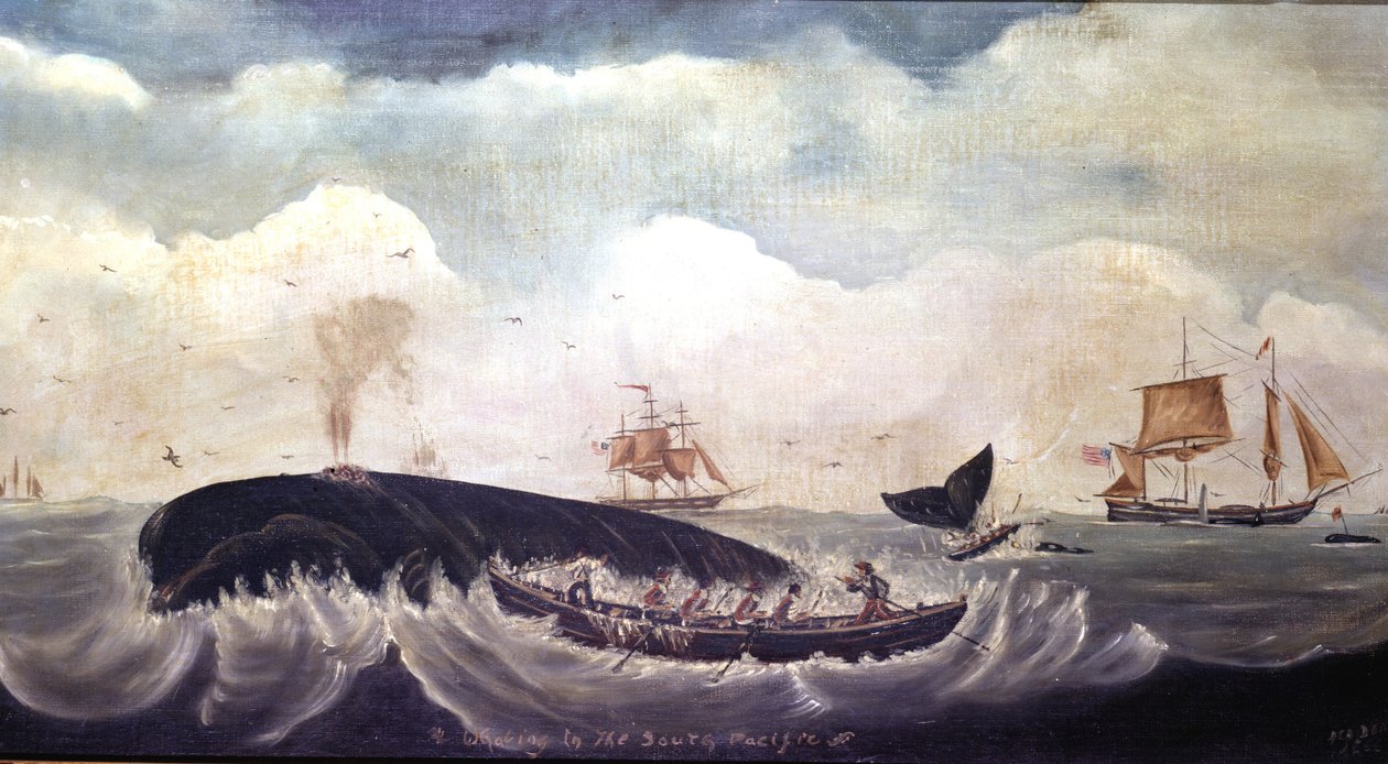 Caza de ballenas en el Pacífico Sur de American School