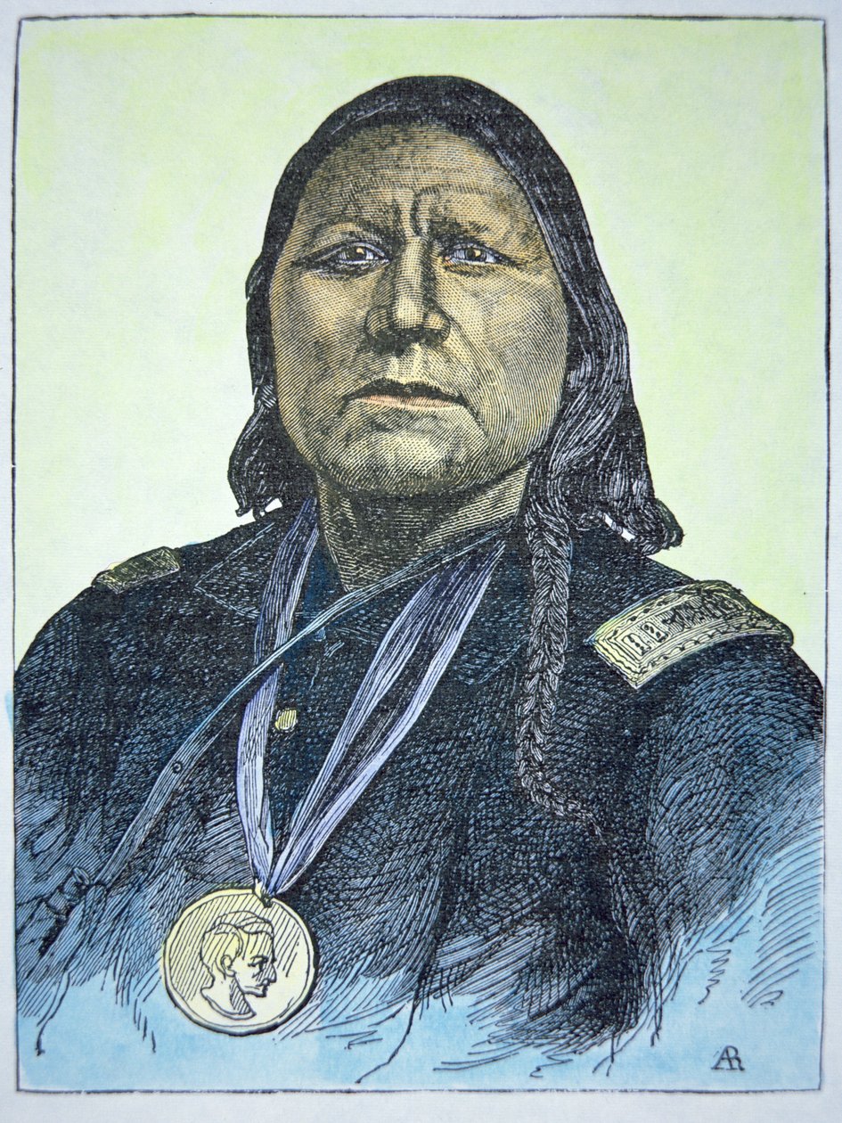 Oso Blanco de American School