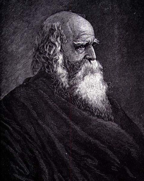 William Cullen Bryant (grabado) de American School
