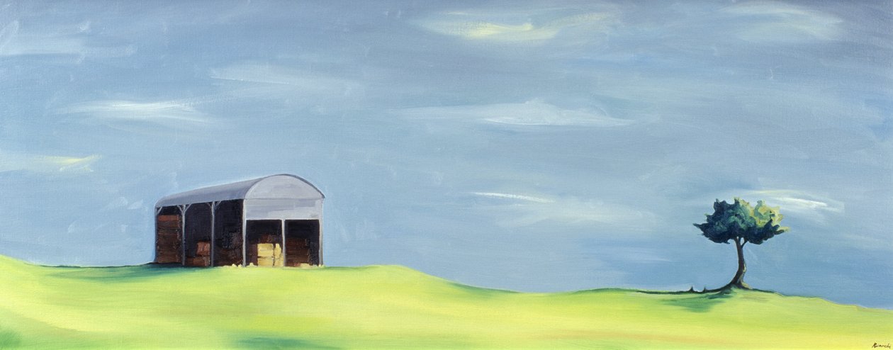 Campos de Poulton de Ana Bianchi