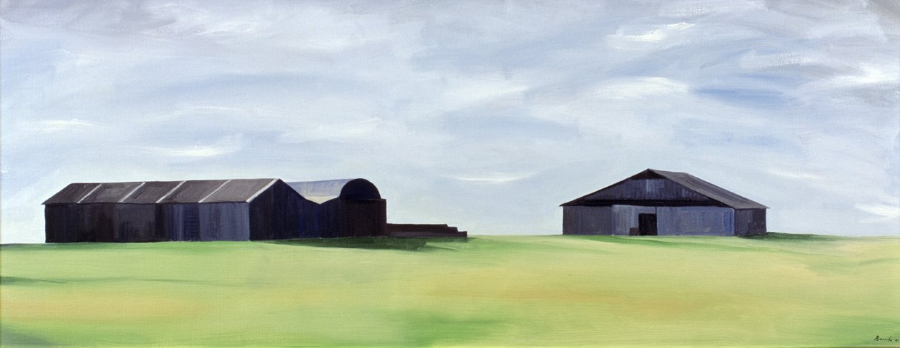 Graneros de verano de Ana Bianchi