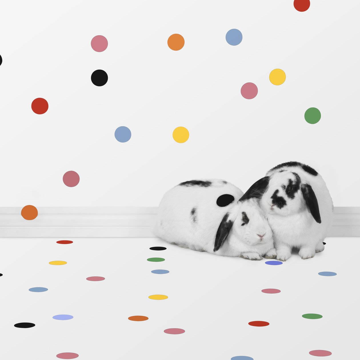 Conejitos 05, 2018 (fotografía) de Ana Carolina Tavares Mizrahi