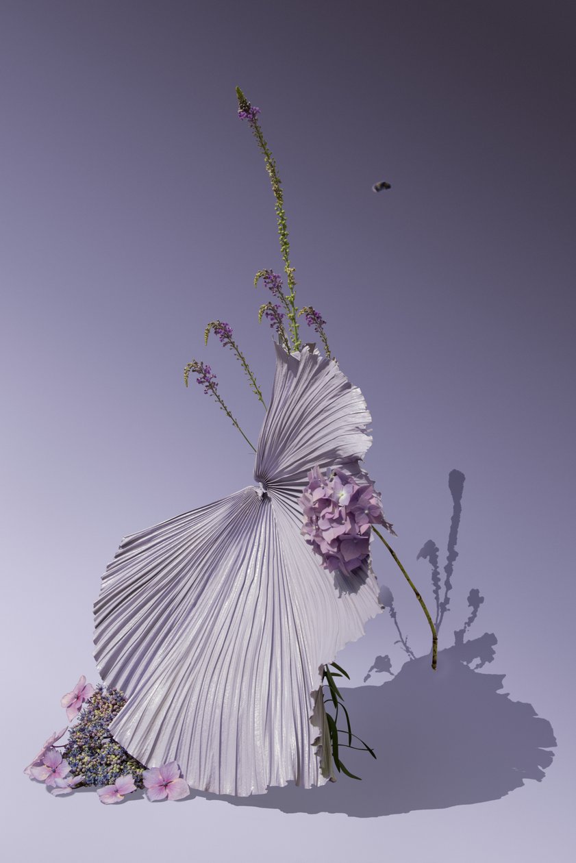 Ikebana 01, 2018 (fotografía) de Ana Carolina Tavares Mizrahi