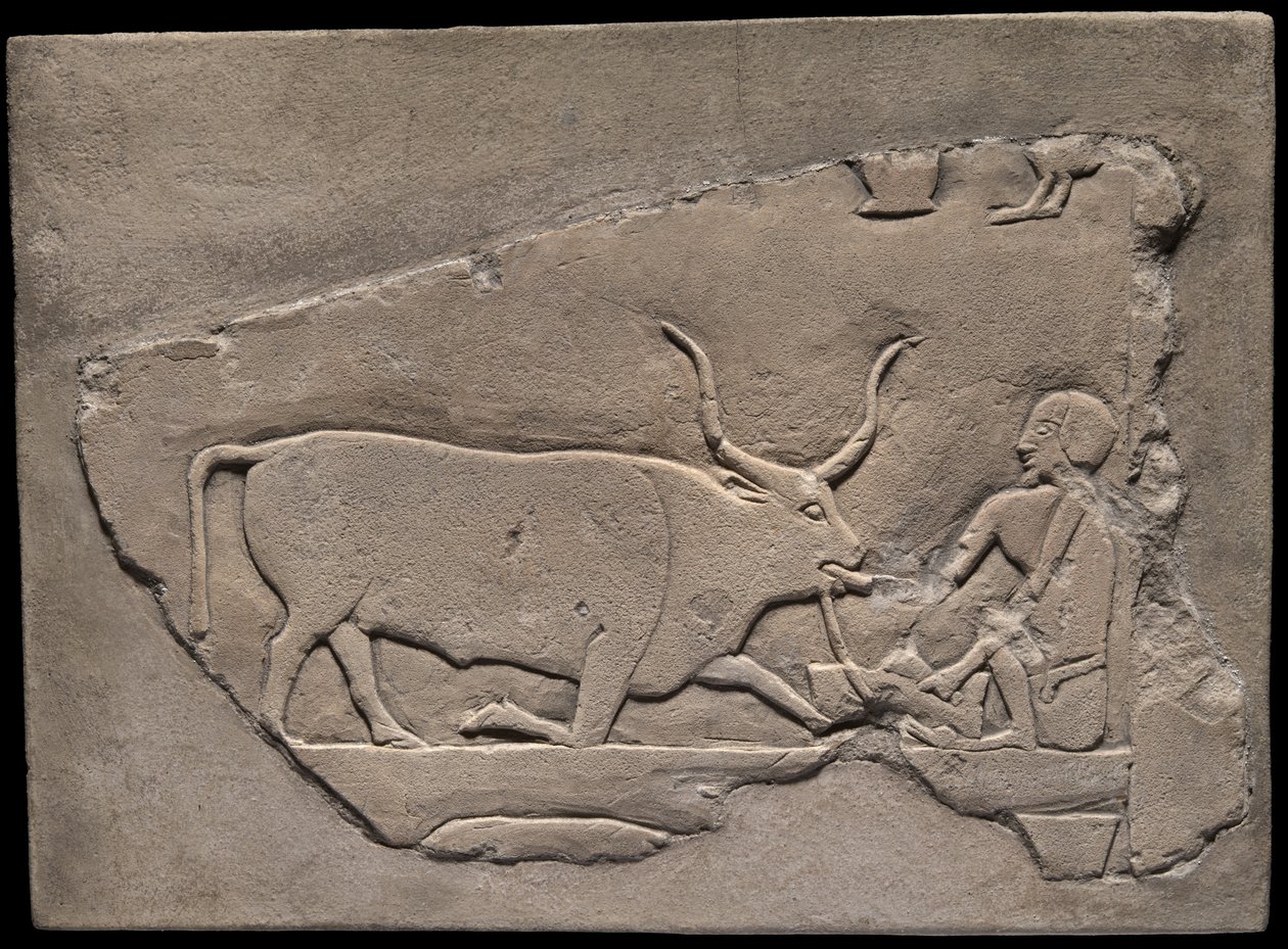Fragmento de pared de una tumba que representa a un pastor de Ancient Egyptian