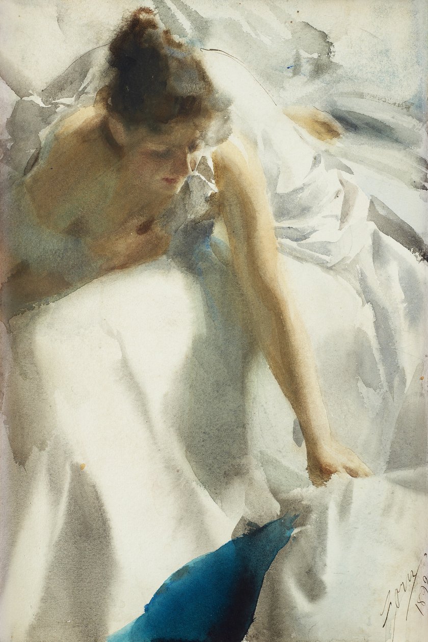 Despertar de Anders Leonard Zorn