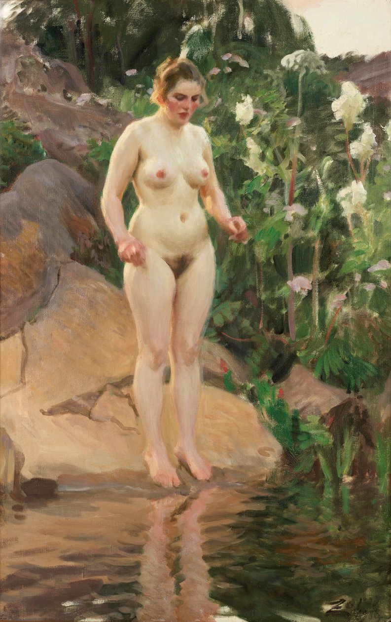 Flores del archipiélago de Anders Leonard Zorn