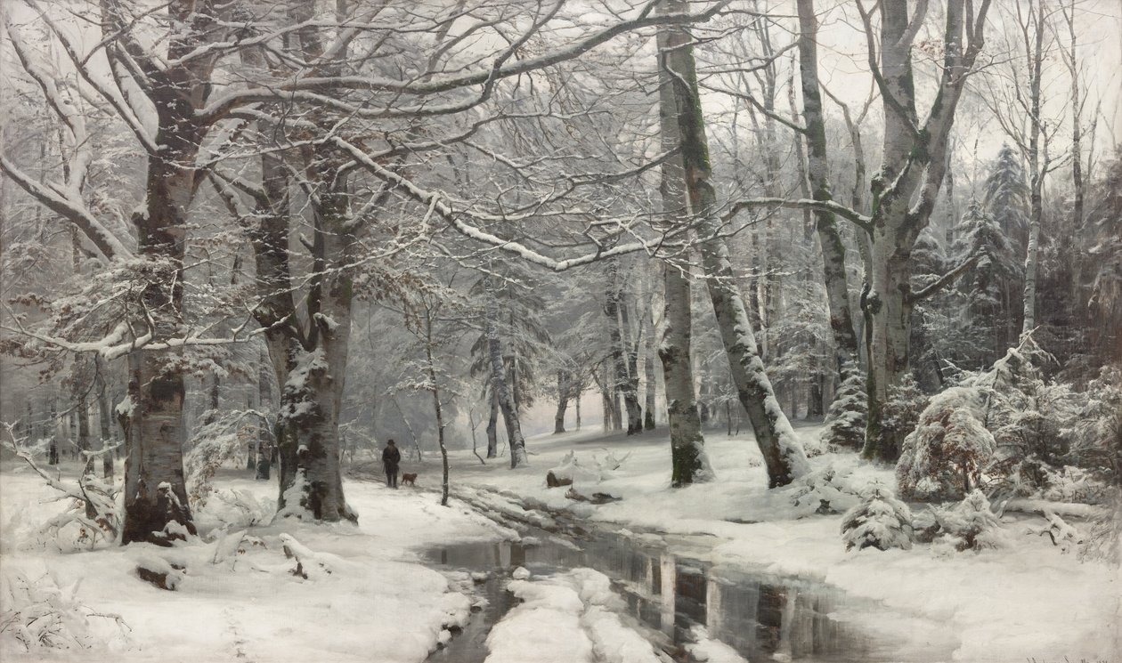 Deshielo en un bosque de hayas de Anders Andersen Lundby