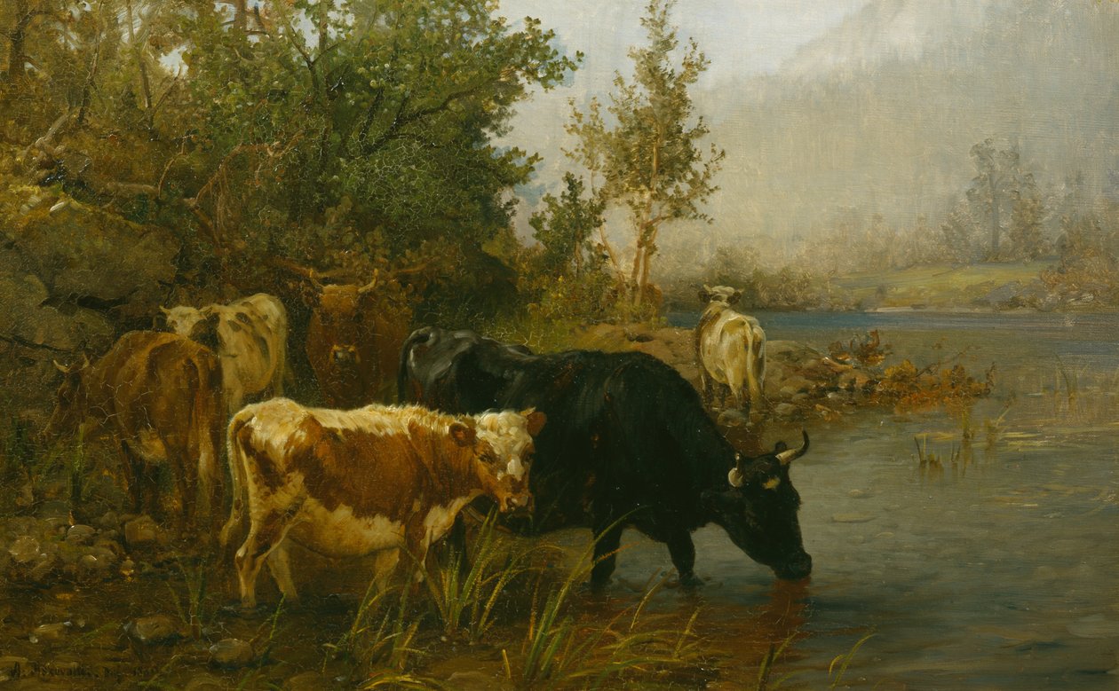 vacas junto al agua de Anders Askevold