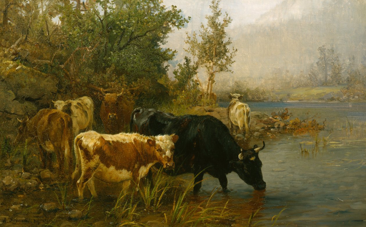 Vacas junto al agua de Anders Askevold