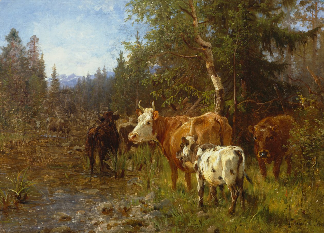 Vacas junto al puesto de agua. de Anders Askevold