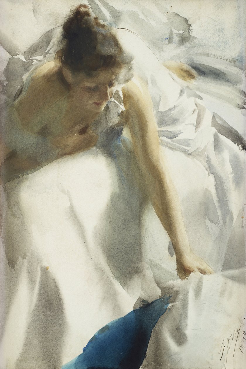 Despertar, Boulevard Clichy de Anders Leonard Zorn