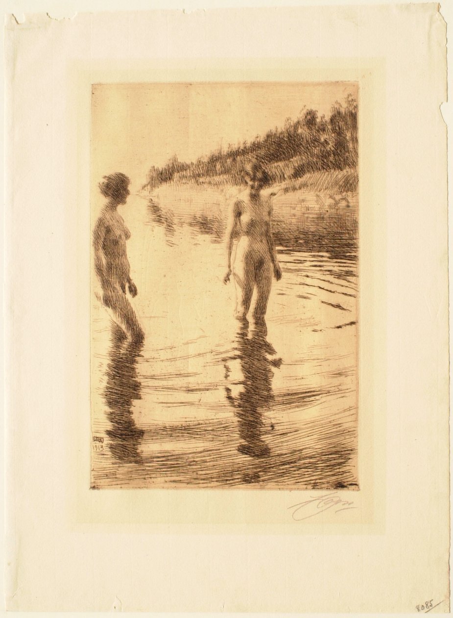 Flach de Anders Leonard Zorn