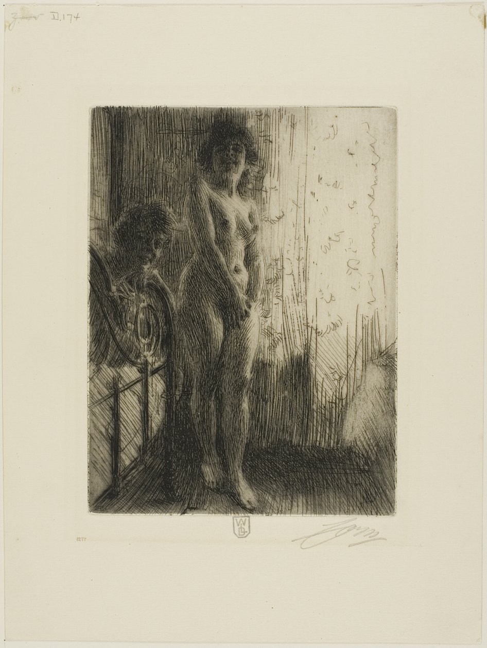 Un rincón oscuro de Anders Leonard Zorn