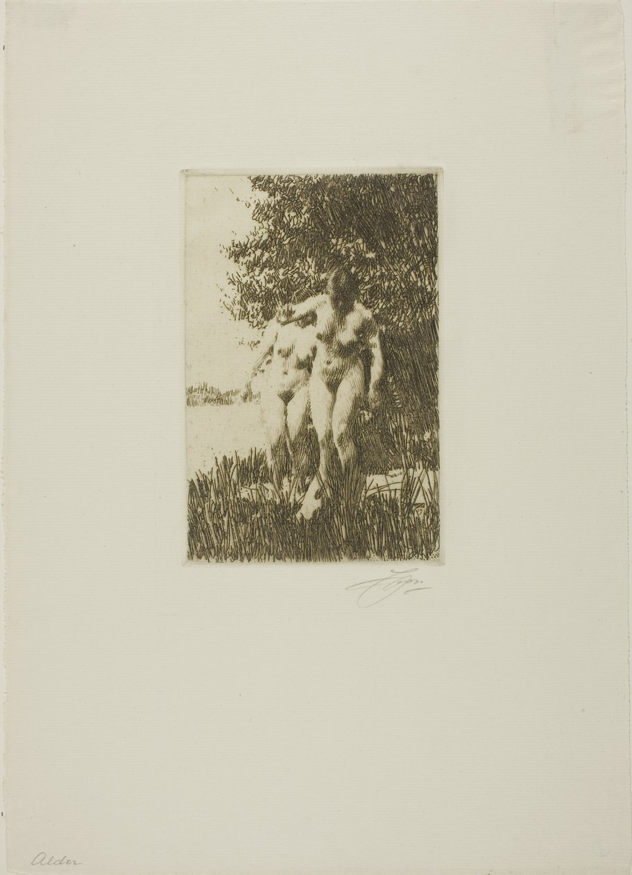 Aliso de Anders Leonard Zorn