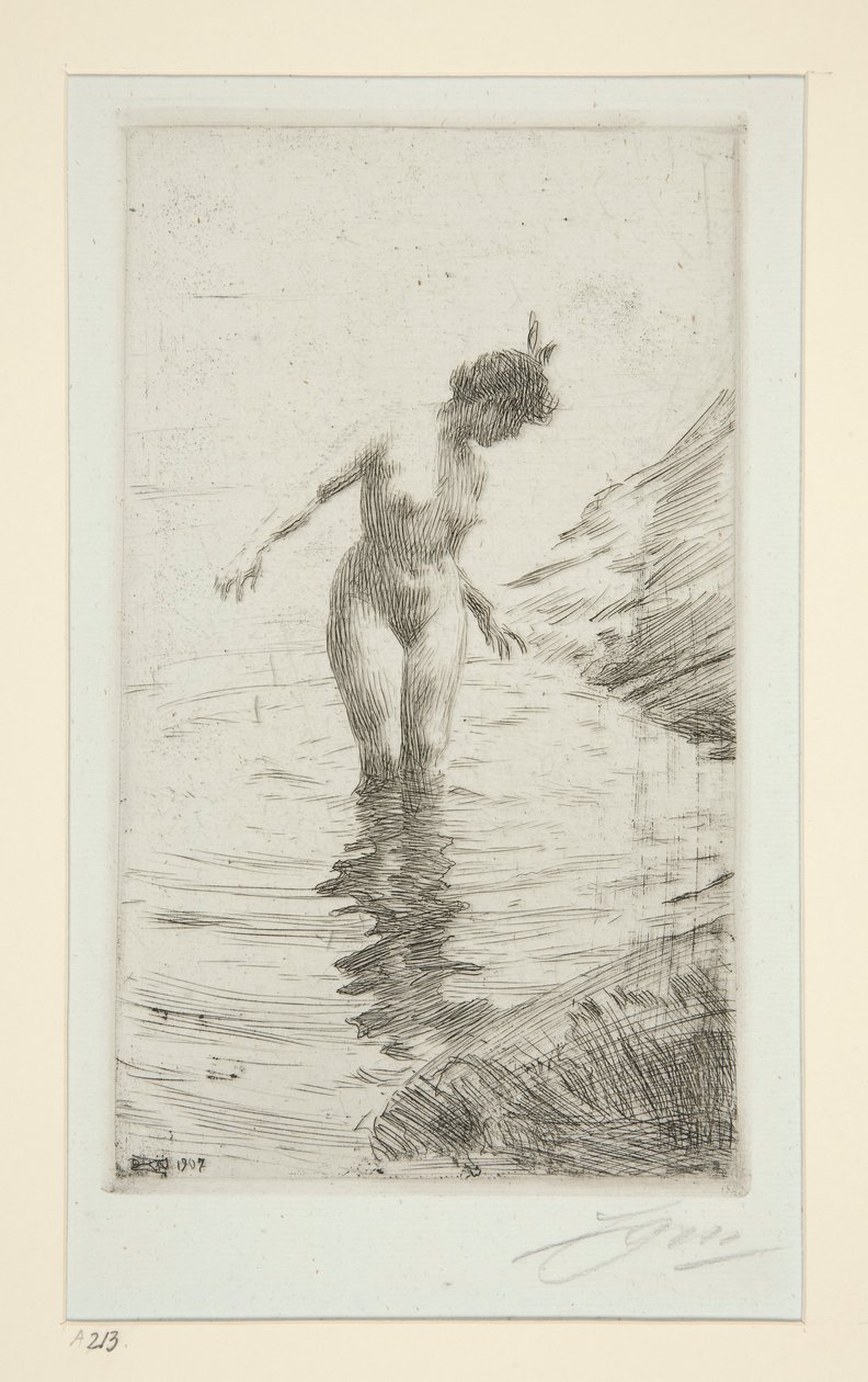 Cercles d de Anders Leonard Zorn