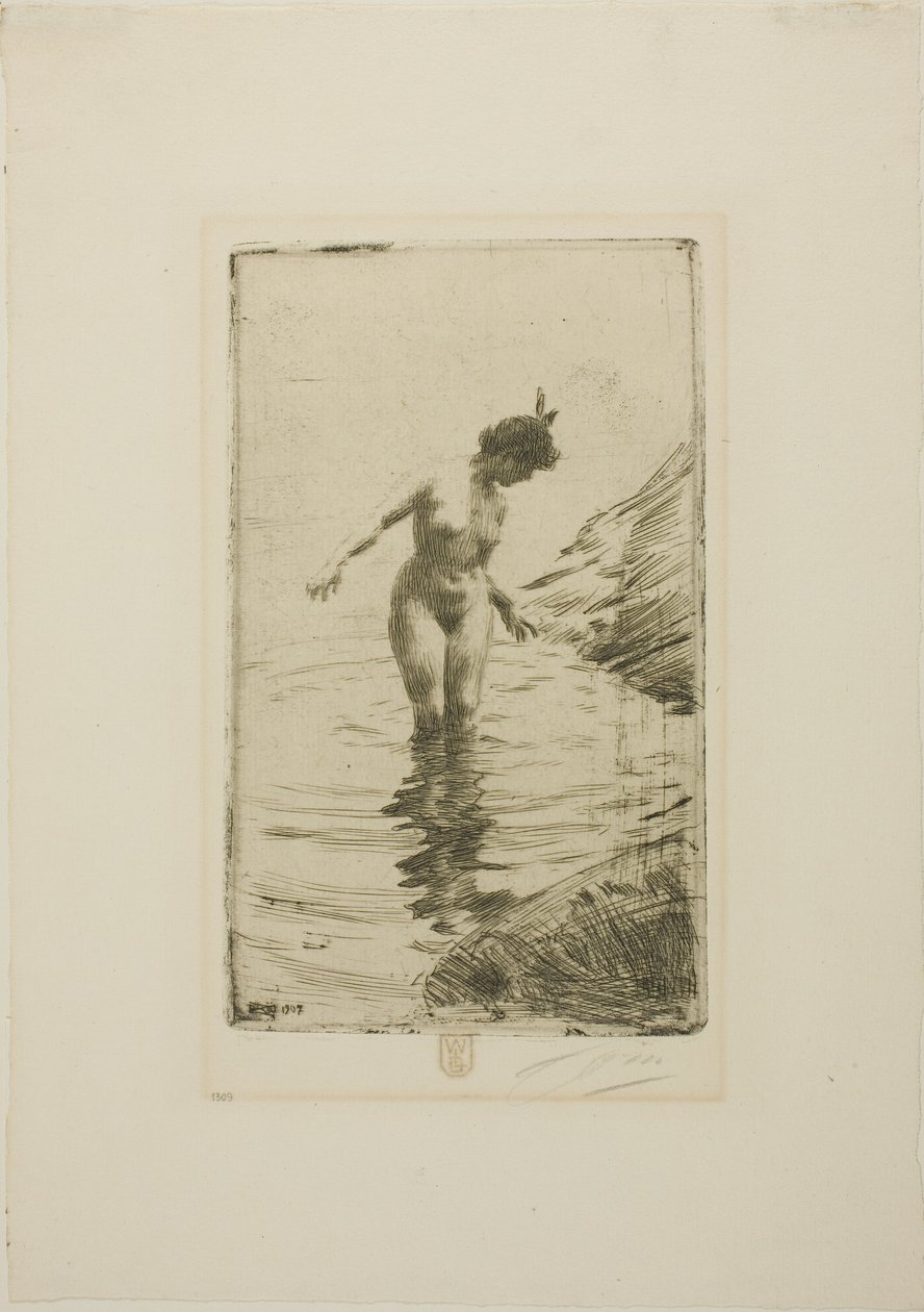 Círculos de agua II de Anders Zorn