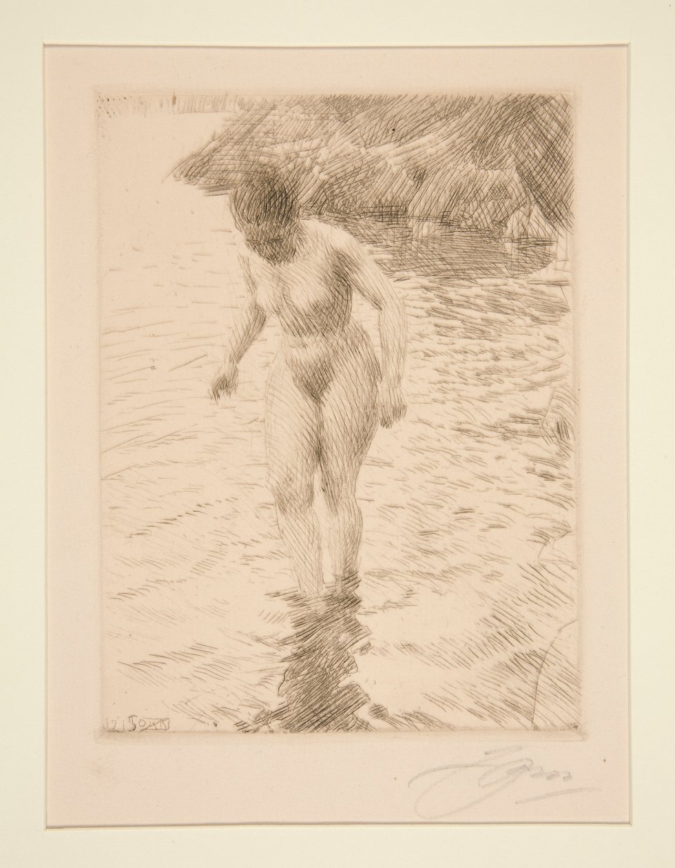 dolares de Anders Leonard Zorn