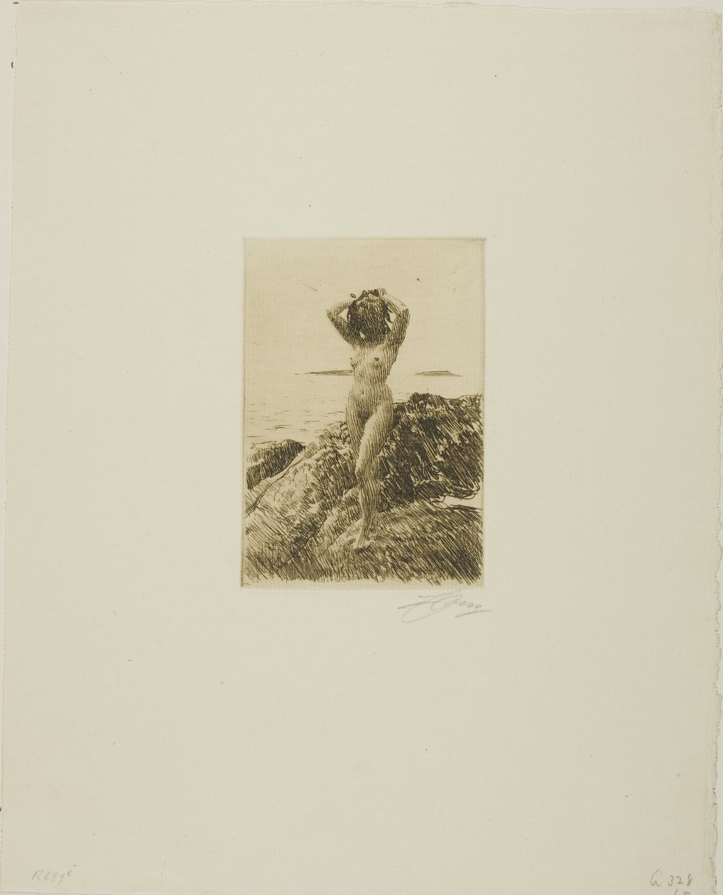 Corona de algas marinas (Hårtång) de Anders Leonard Zorn